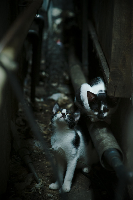 锋线与诗行，在争冠的夜晚，保罗稳定输出不掉线