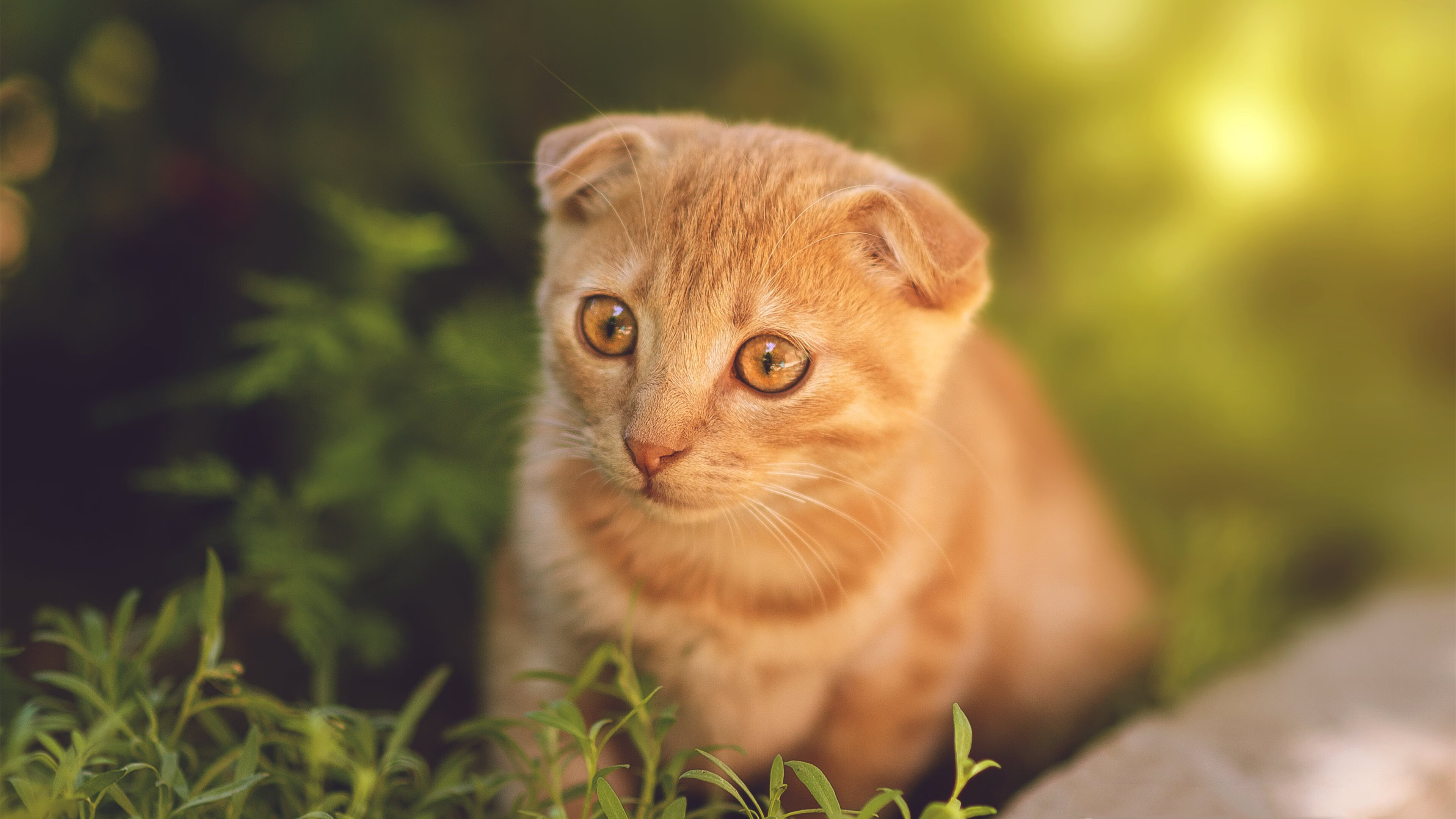 爱游戏在线-跨界绝杀，慈善友谊赛惊现曼联前锋乱入，拉什福德助马竞逆转南非