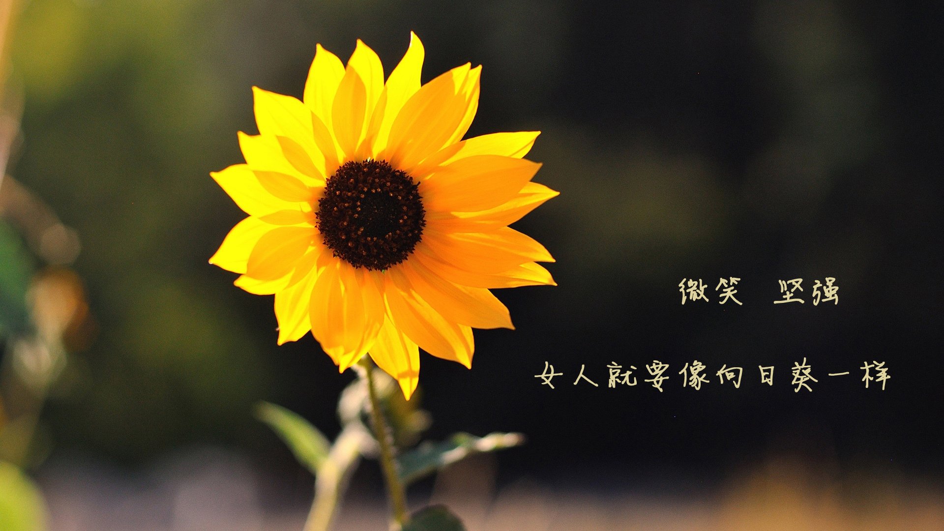 平行时空的交叉点，当班凯罗在欧冠半决赛之夜打出冠军级表现