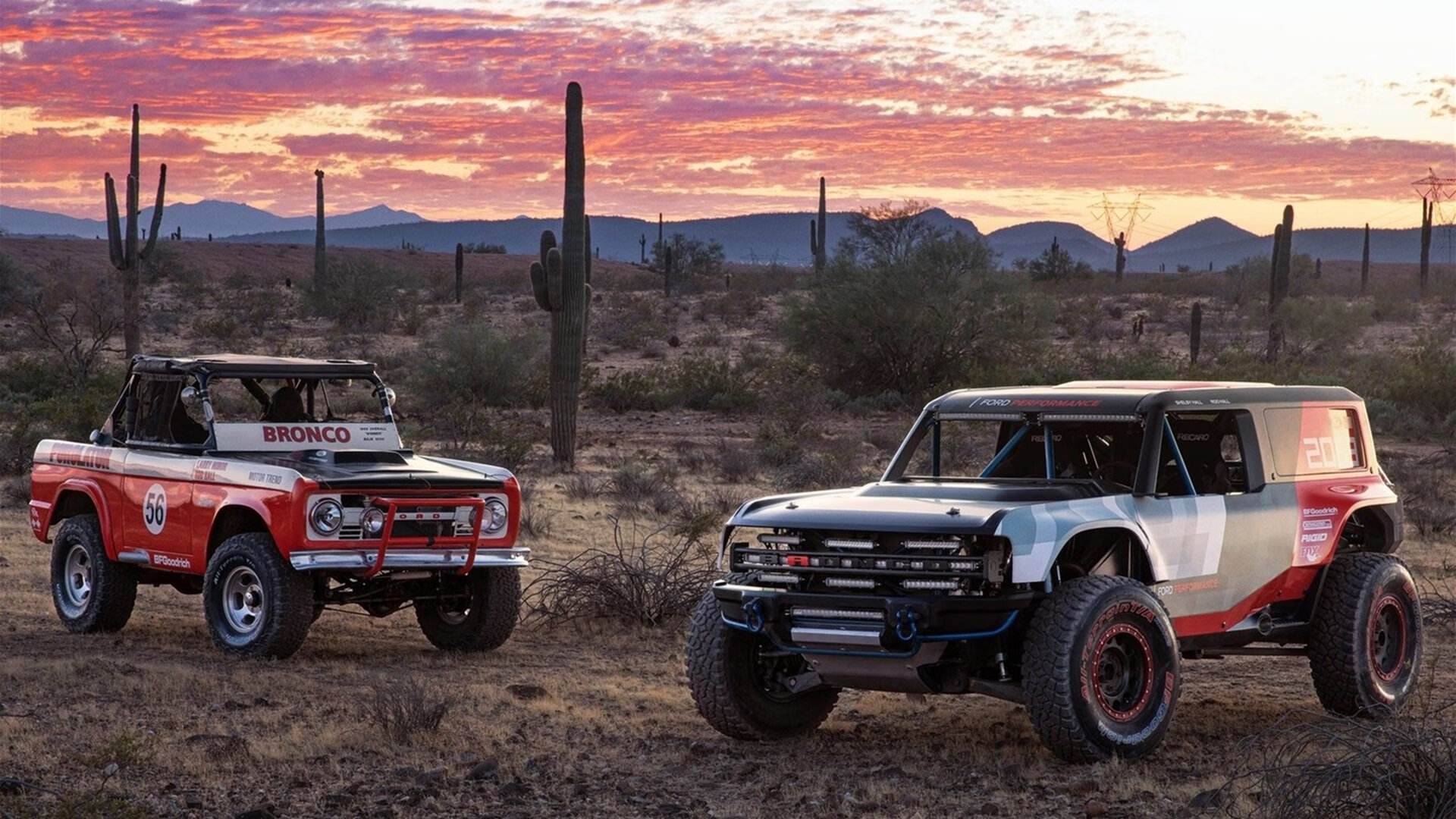 鹰击南粤!戈贝尔化身巨灵神,老鹰以铁血防守压制广东华丽攻势