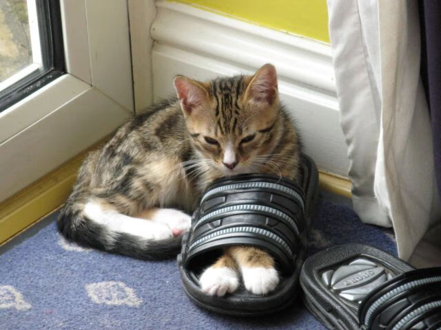 绿茵交响诗，当西甲国家德比遇见巴西节奏掌控拜仁的足球哲学