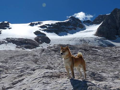 收割者密码，莫兰特用一场献给大场面的演出，为步行者解锁深圳