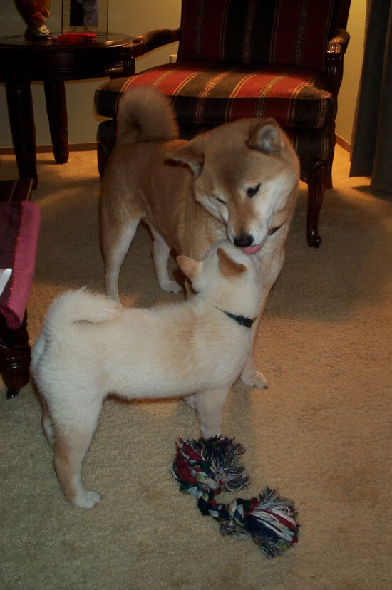 当凯恩穿上红色，一场友谊赛如何揭示了现代足球的终极答案