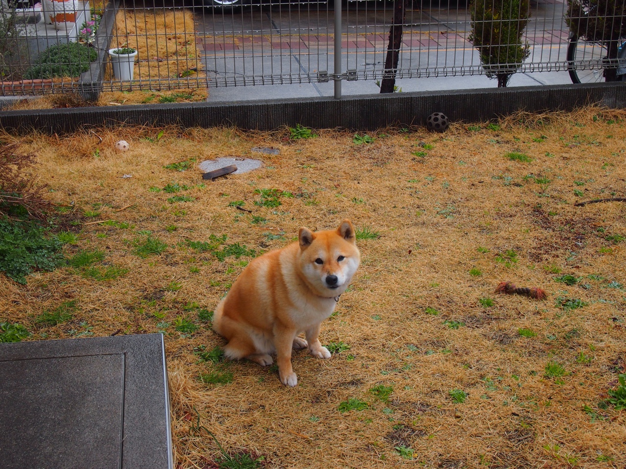 范弗利特，从地心涌出的烈火，如何焚毁掘金的高原堡垒？