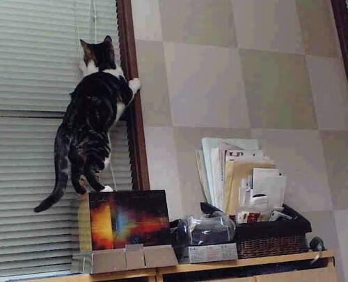 棋盘上的君王，当若日尼奥在年度焦点之夜将足球谱成奏鸣曲