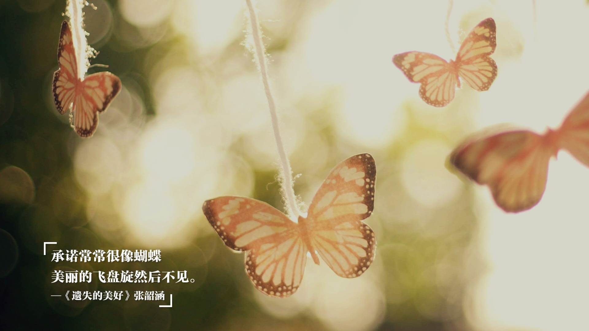 孤星耀世，当罗马尼亚的铁骑踏碎南美幻梦，奥斯梅恩在2026世界杯A组刻下唯一神迹